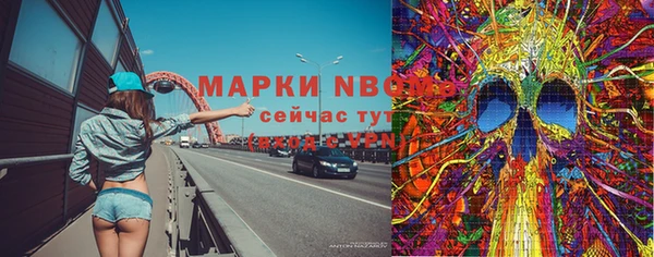 Альфа ПВП Горнозаводск