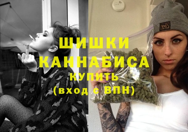 Альфа ПВП Горнозаводск