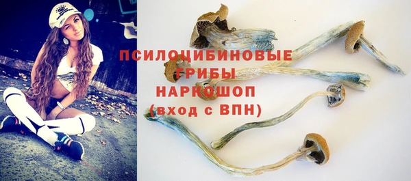 Альфа ПВП Горнозаводск