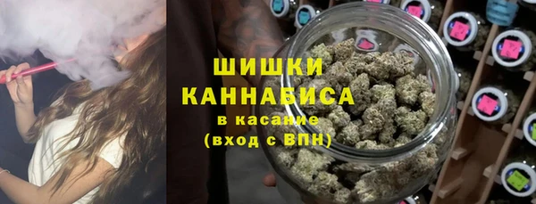 стафф Горно-Алтайск