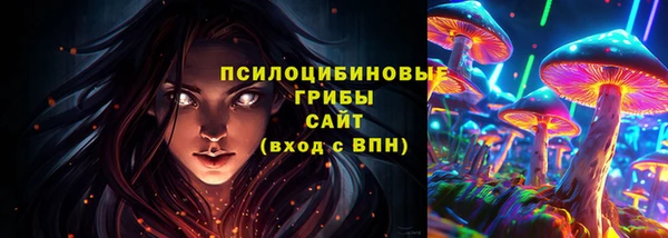 Альфа ПВП Горнозаводск